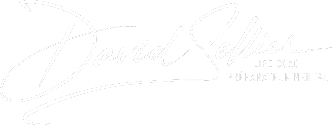 logo David Sellier